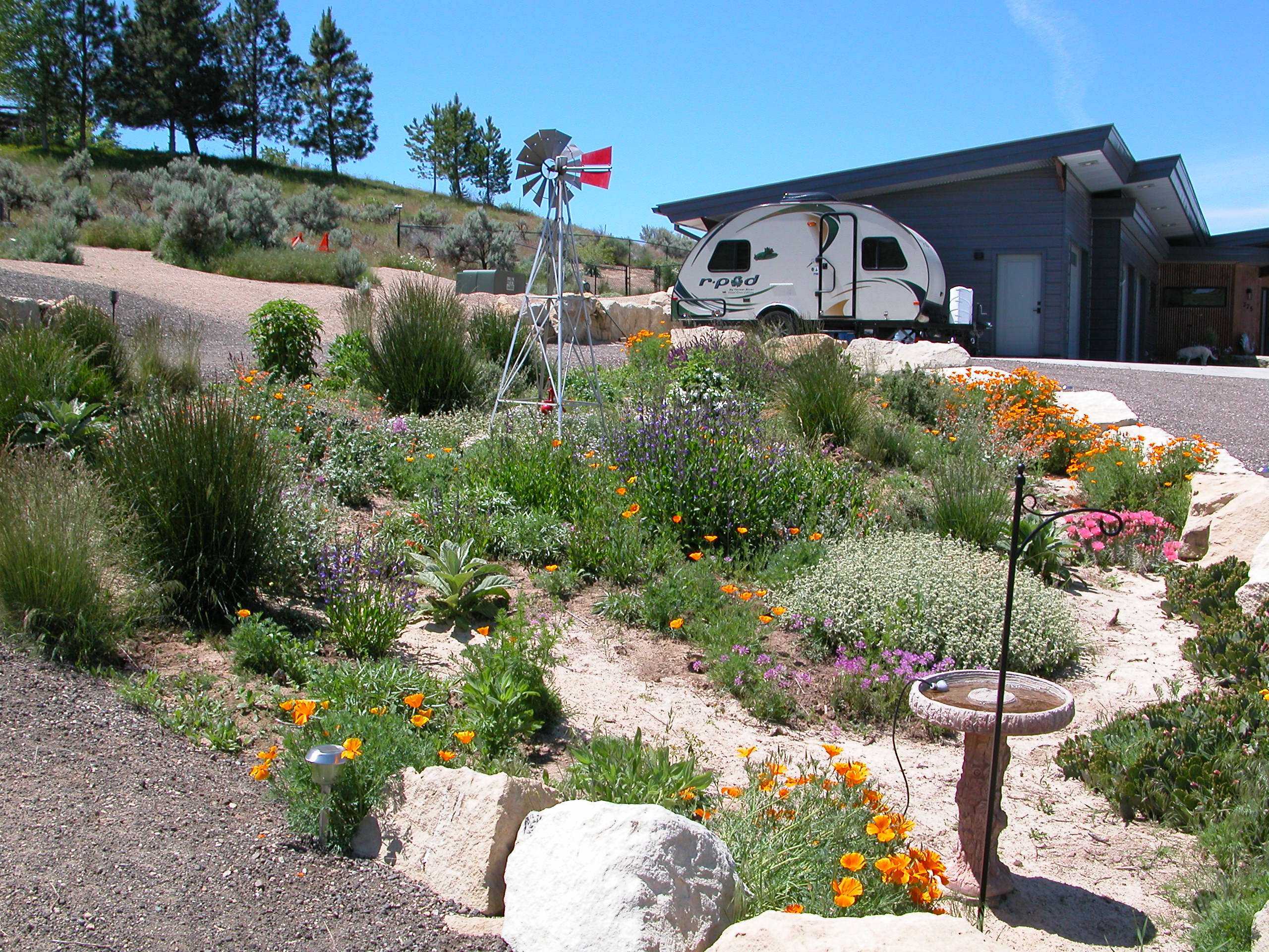 Fire-resistant landscape for the Bay Area